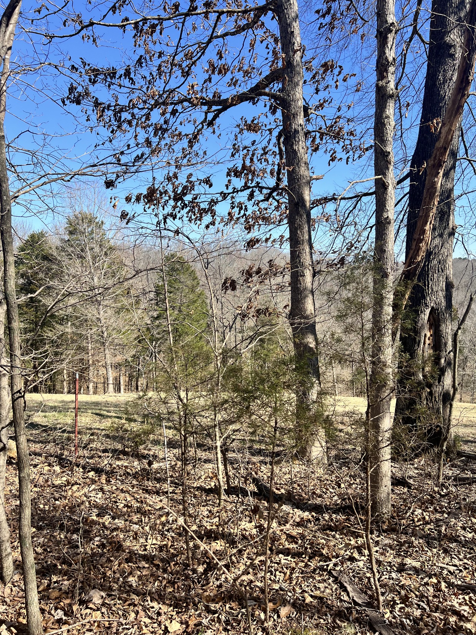 2995 Sulphur Springs Rd Property Photo 2