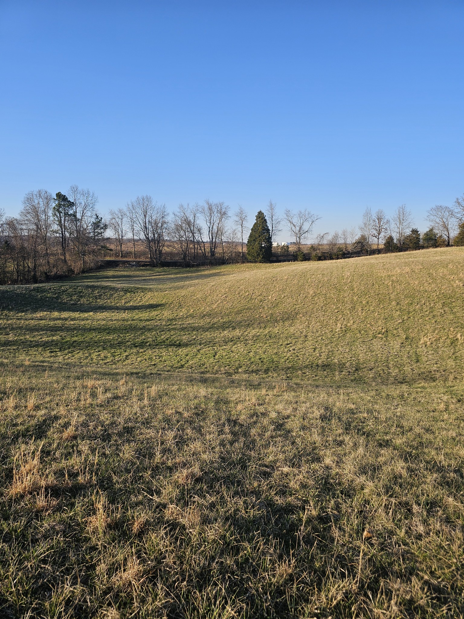 0 Hogan Road Property Photo