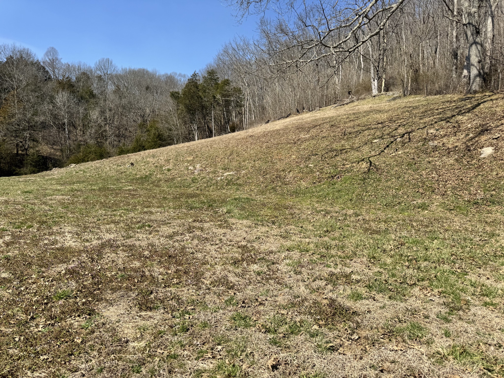 267 Difficult Rd Property Photo 6