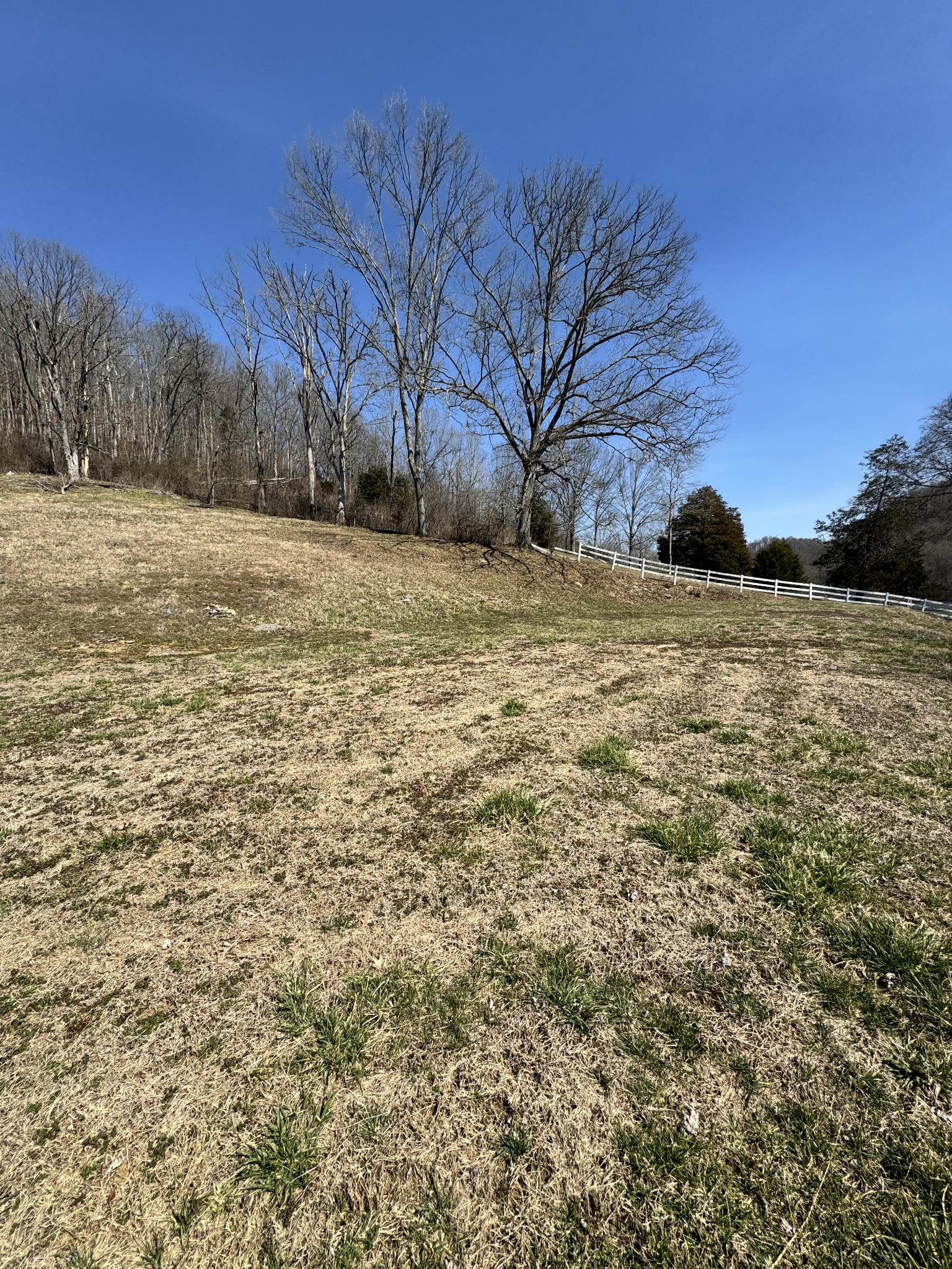 267 Difficult Rd Property Photo 8