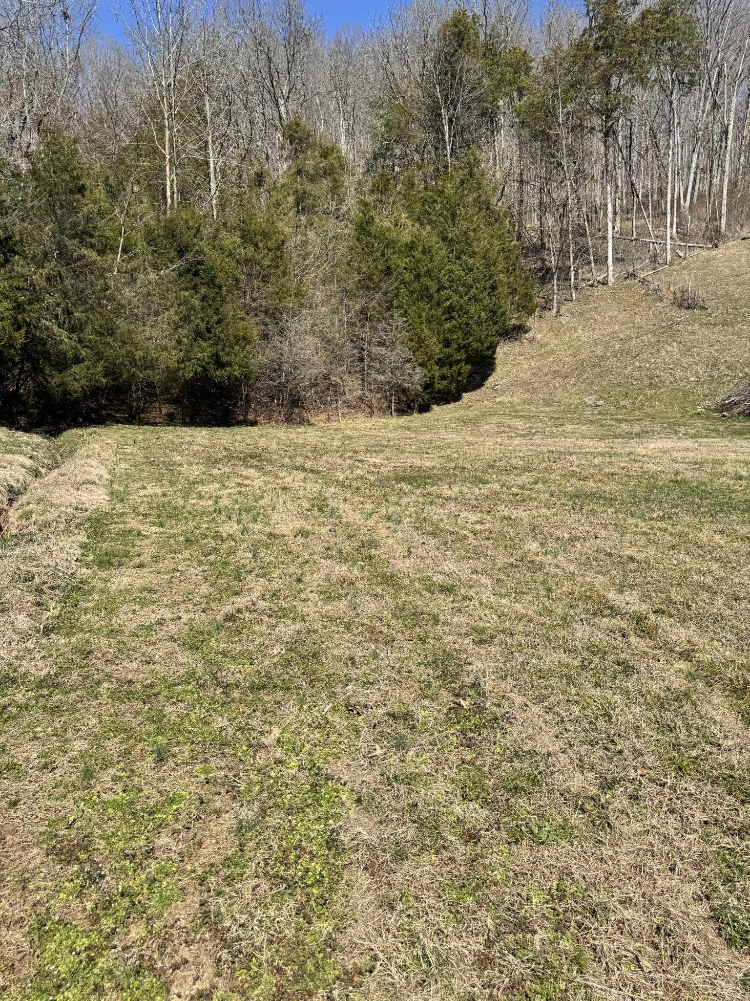 267 Difficult Rd Property Photo 11