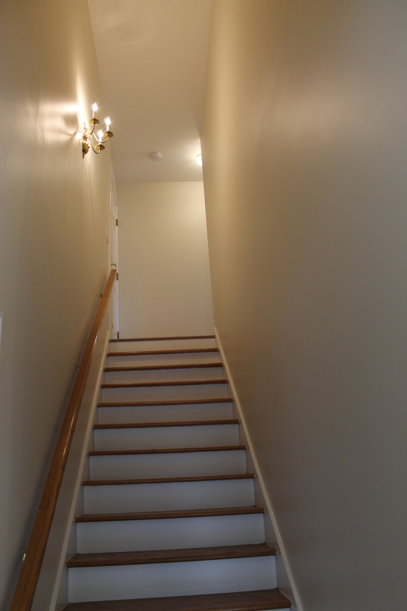 816 Loretta Dr Property Photo 34