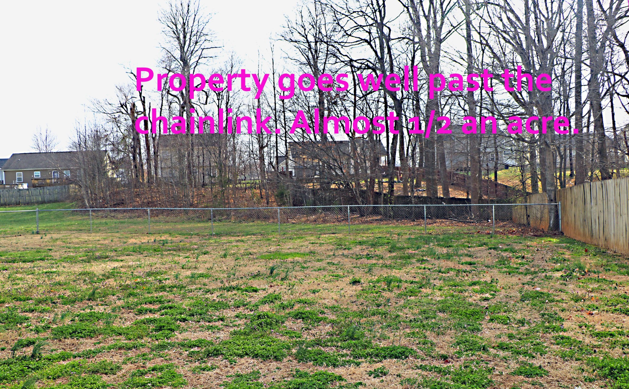 3784 Mcallister Dr Property Photo 4