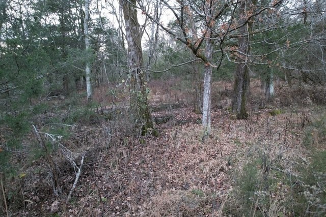 0 Interstate 65 Access Road Property Photo