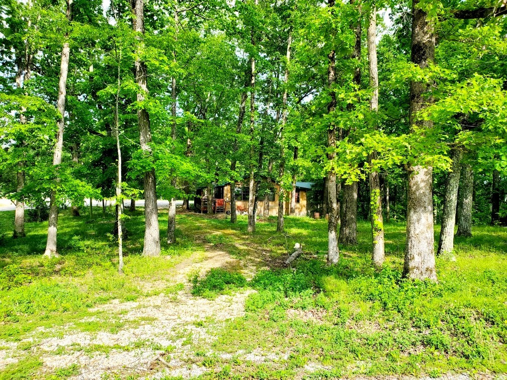 15578 Birdsong Rd Property Photo 11