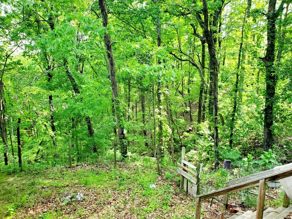 15578 Birdsong Rd Property Photo 33