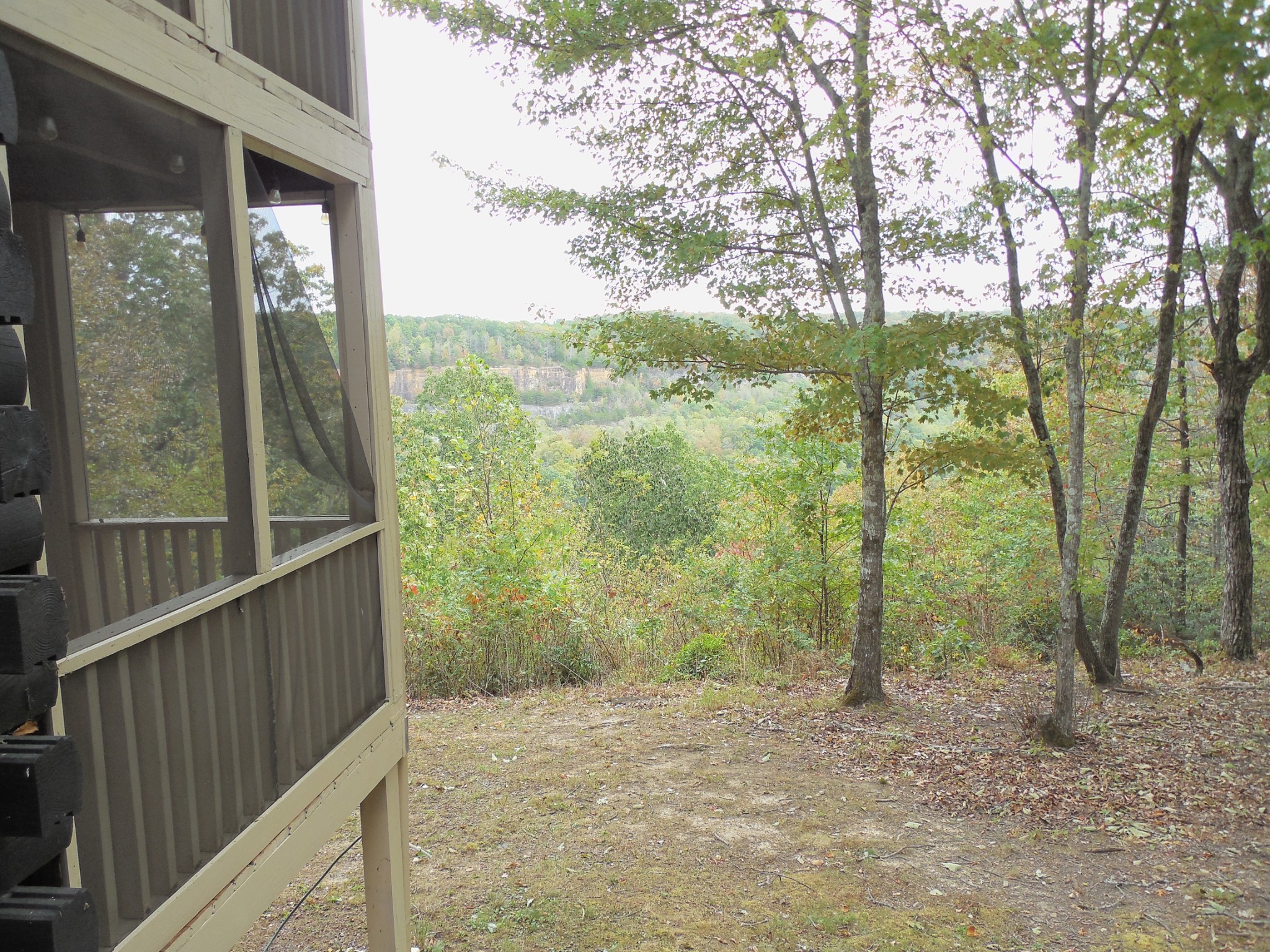 1728 Ridge Cliff Dr Property Photo 15