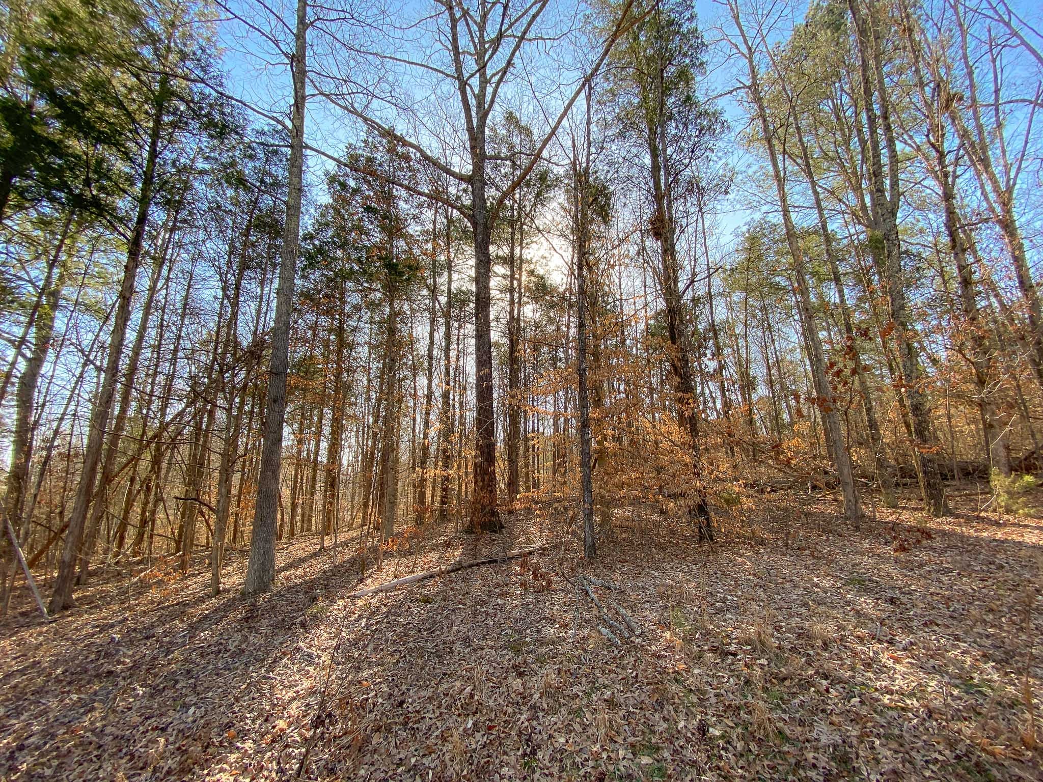 0 Rustic Valley Dr Property Photo 6