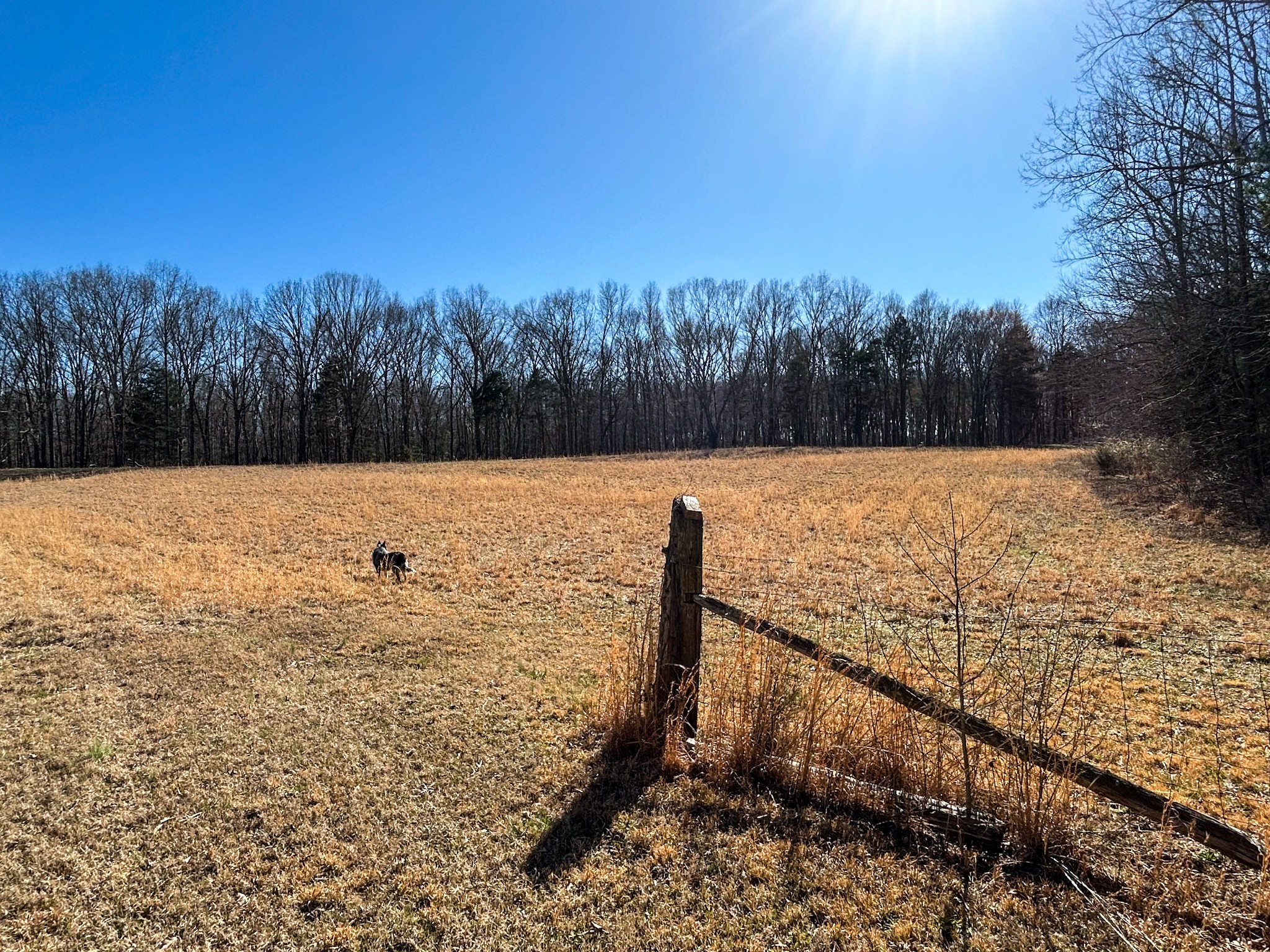 7756 Hwy 77 Property Photo 10