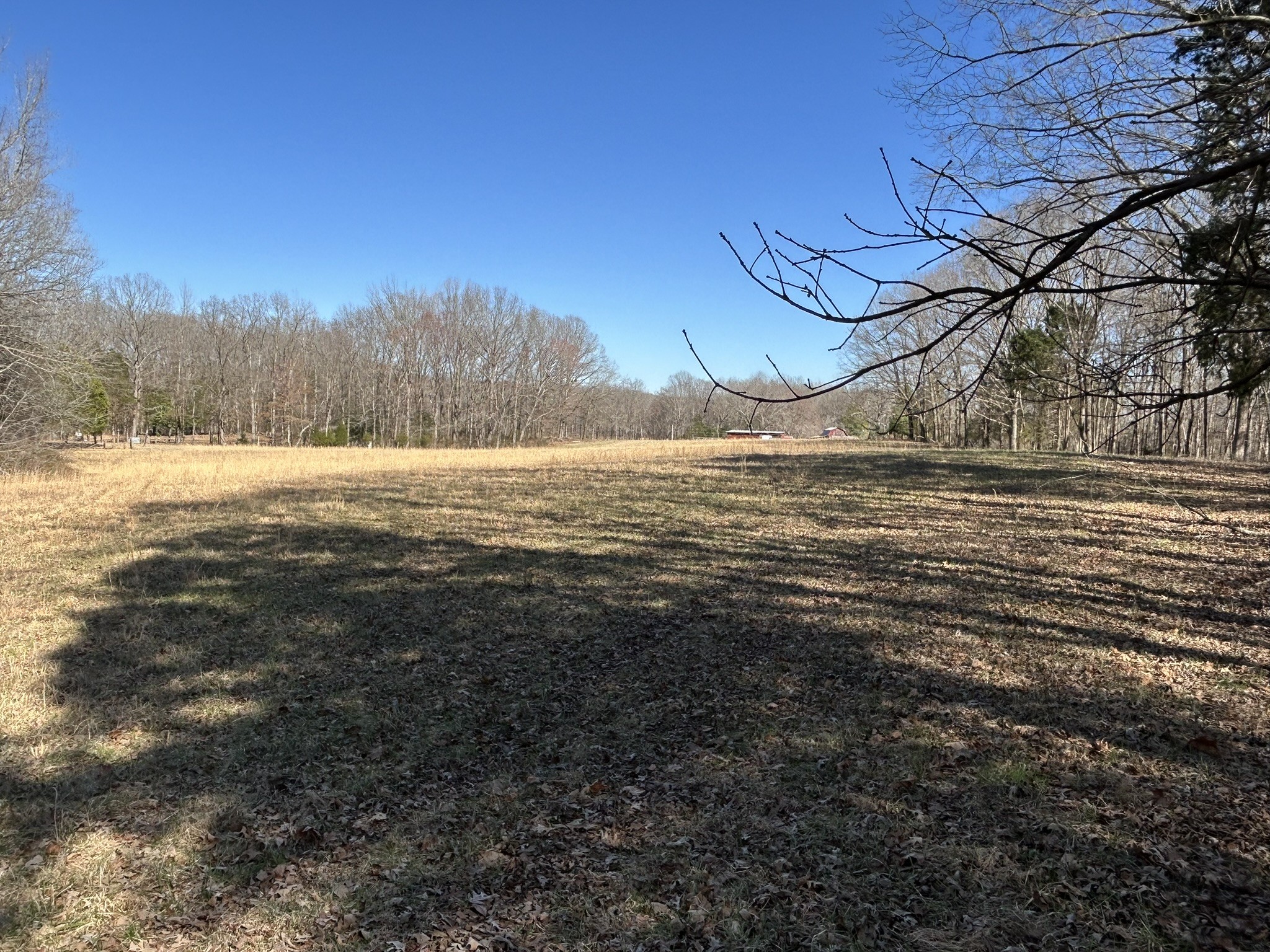 7756 Hwy 77 Property Photo 11