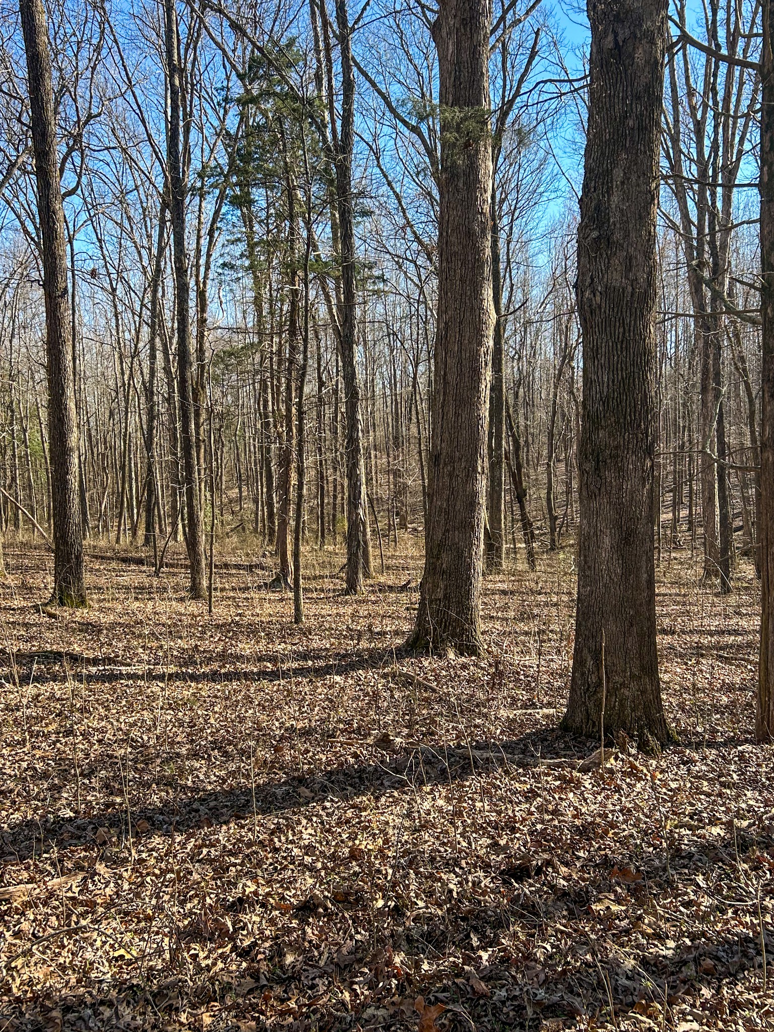 7756 Hwy 77 Property Photo 12