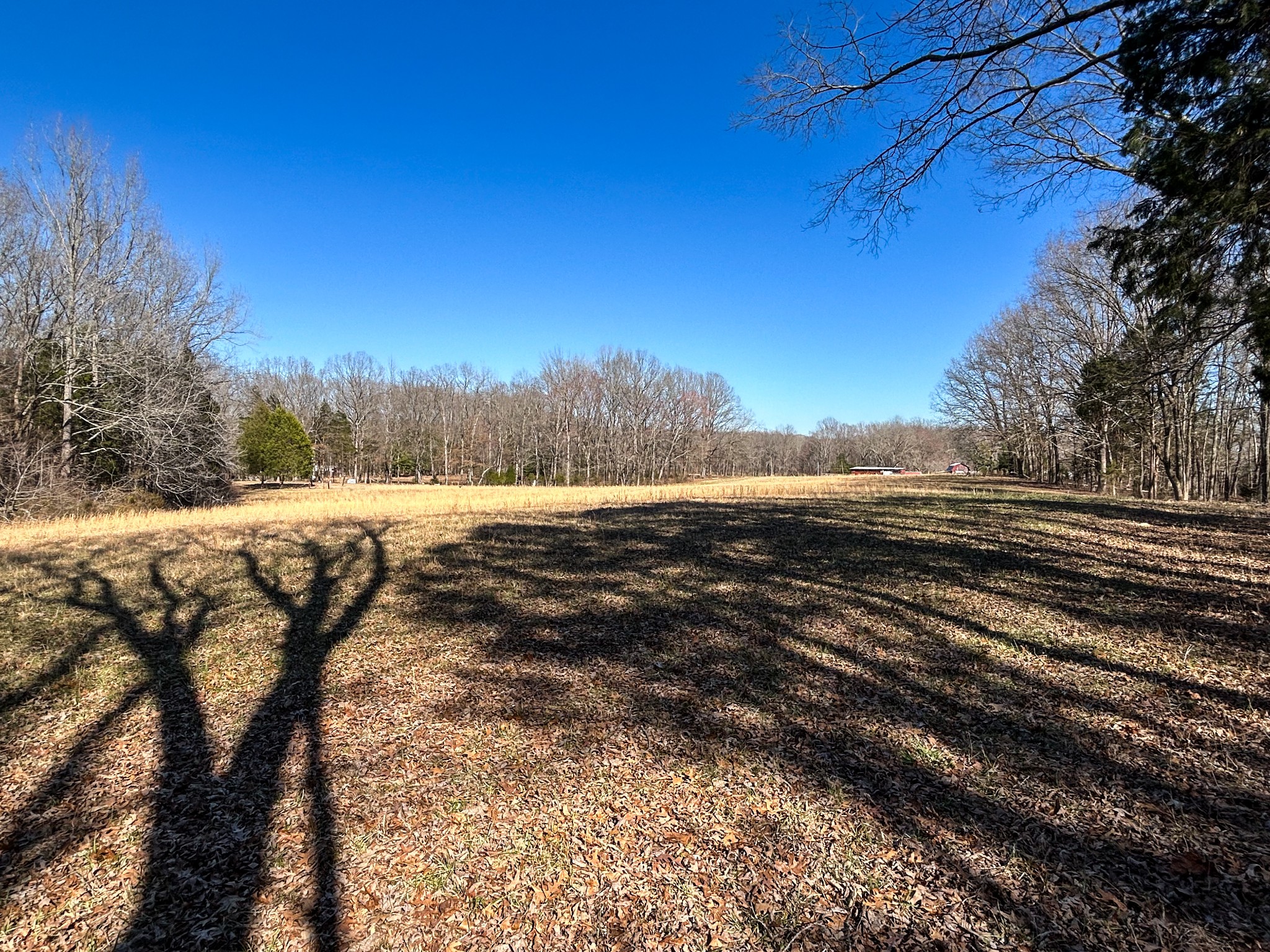 7756 Hwy 77 Property Photo 13