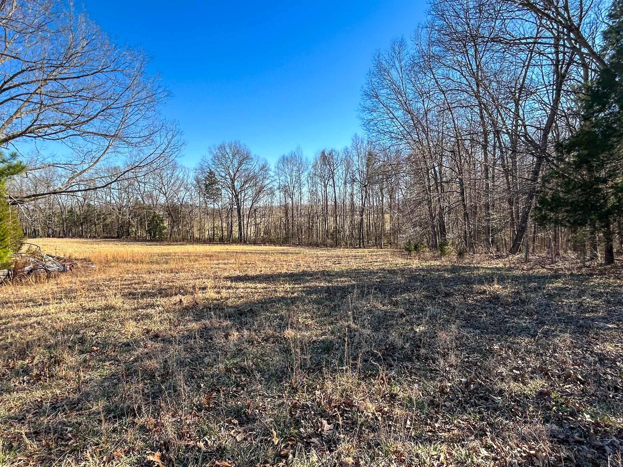 7756 Hwy 77 Property Photo 14