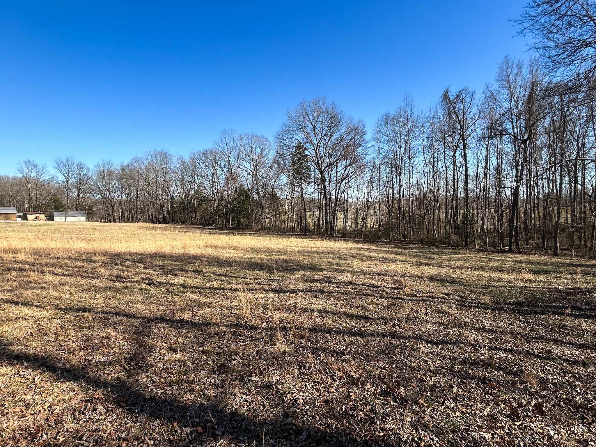 7756 Hwy 77 Property Photo 15
