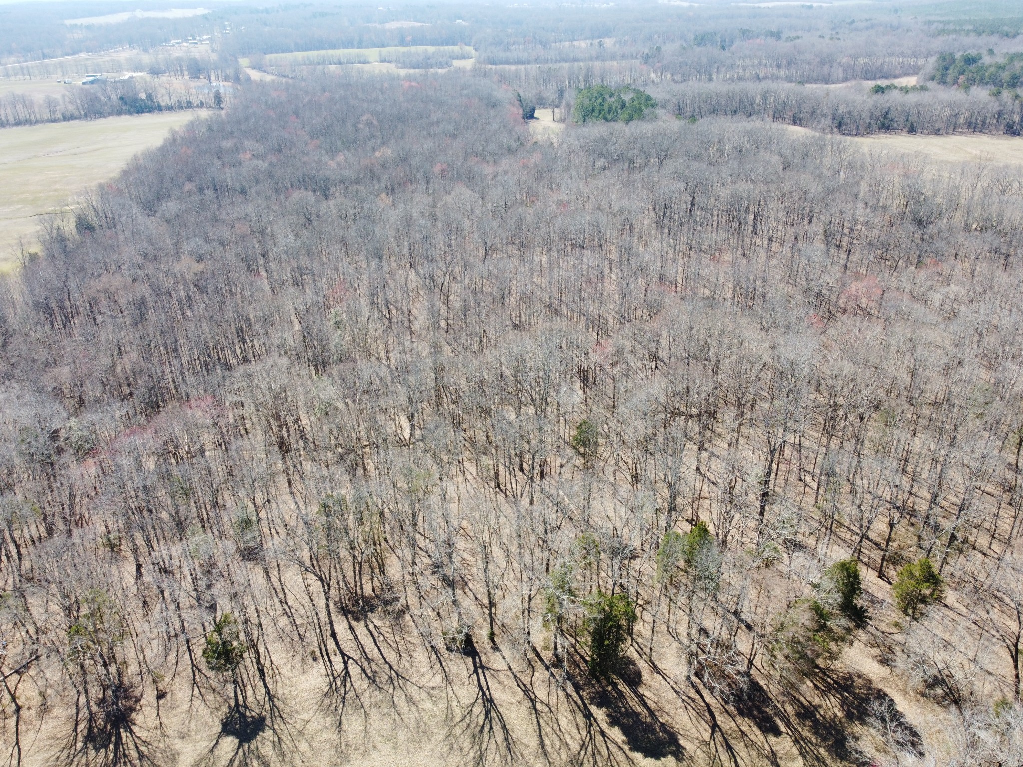 7756 Hwy 77 Property Photo 42