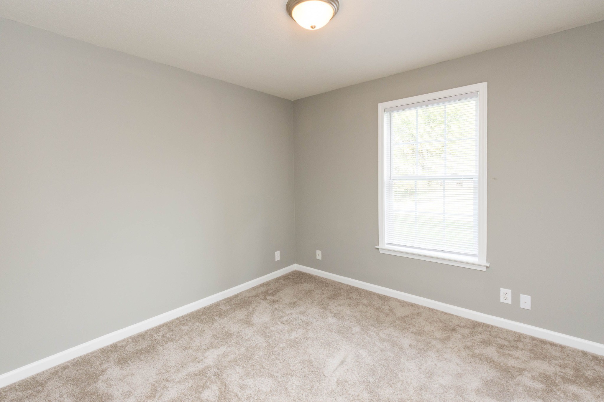 3301 Royster Ln Property Photo 9