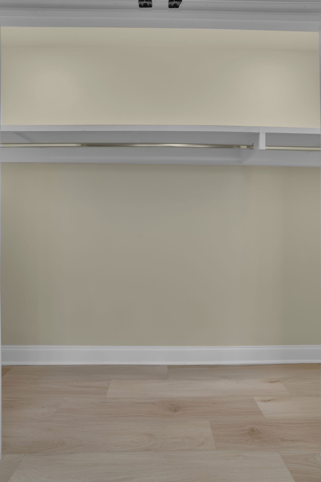 1617 Hampton St Property Photo 11