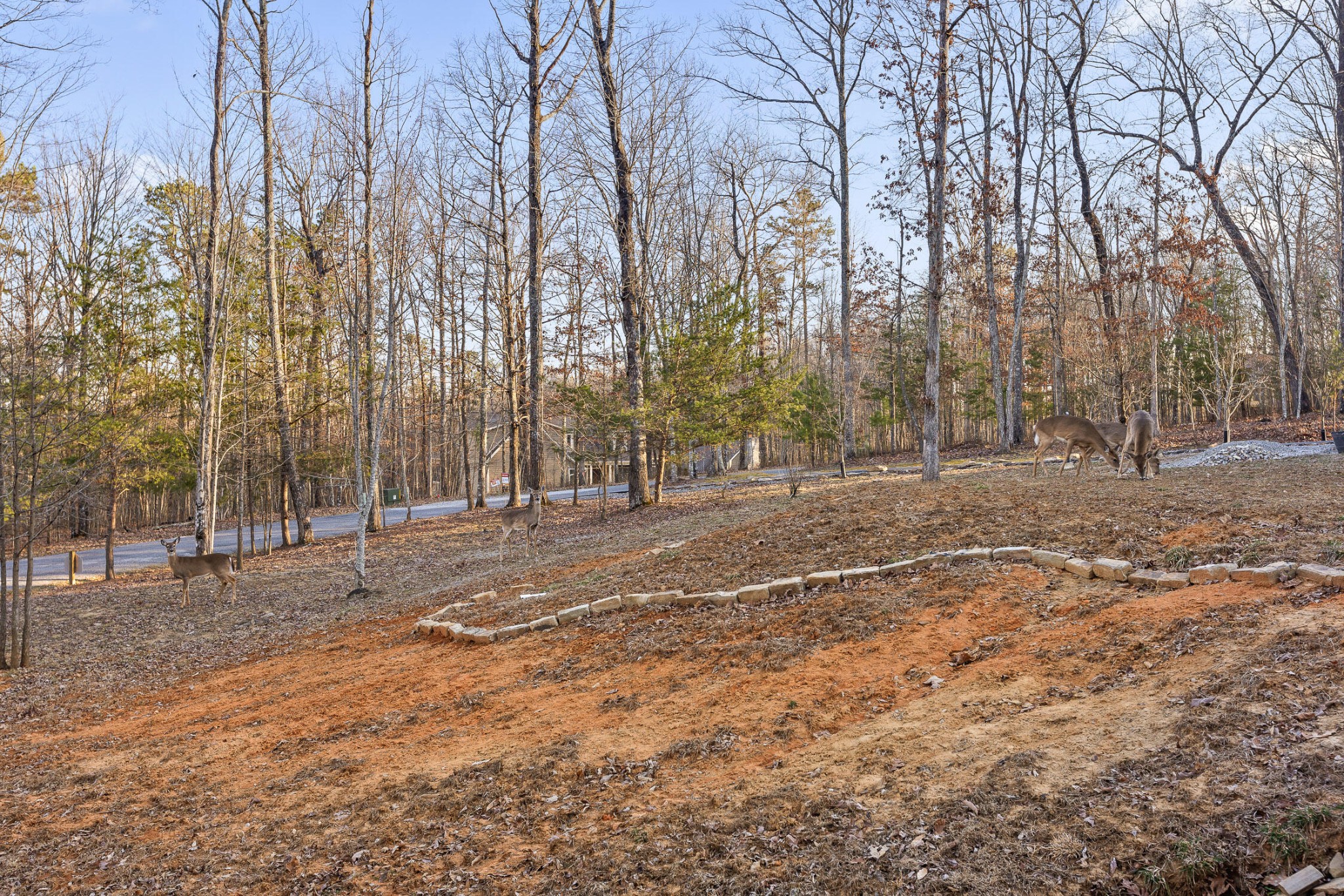 157 Twilight Trail Property Photo 79