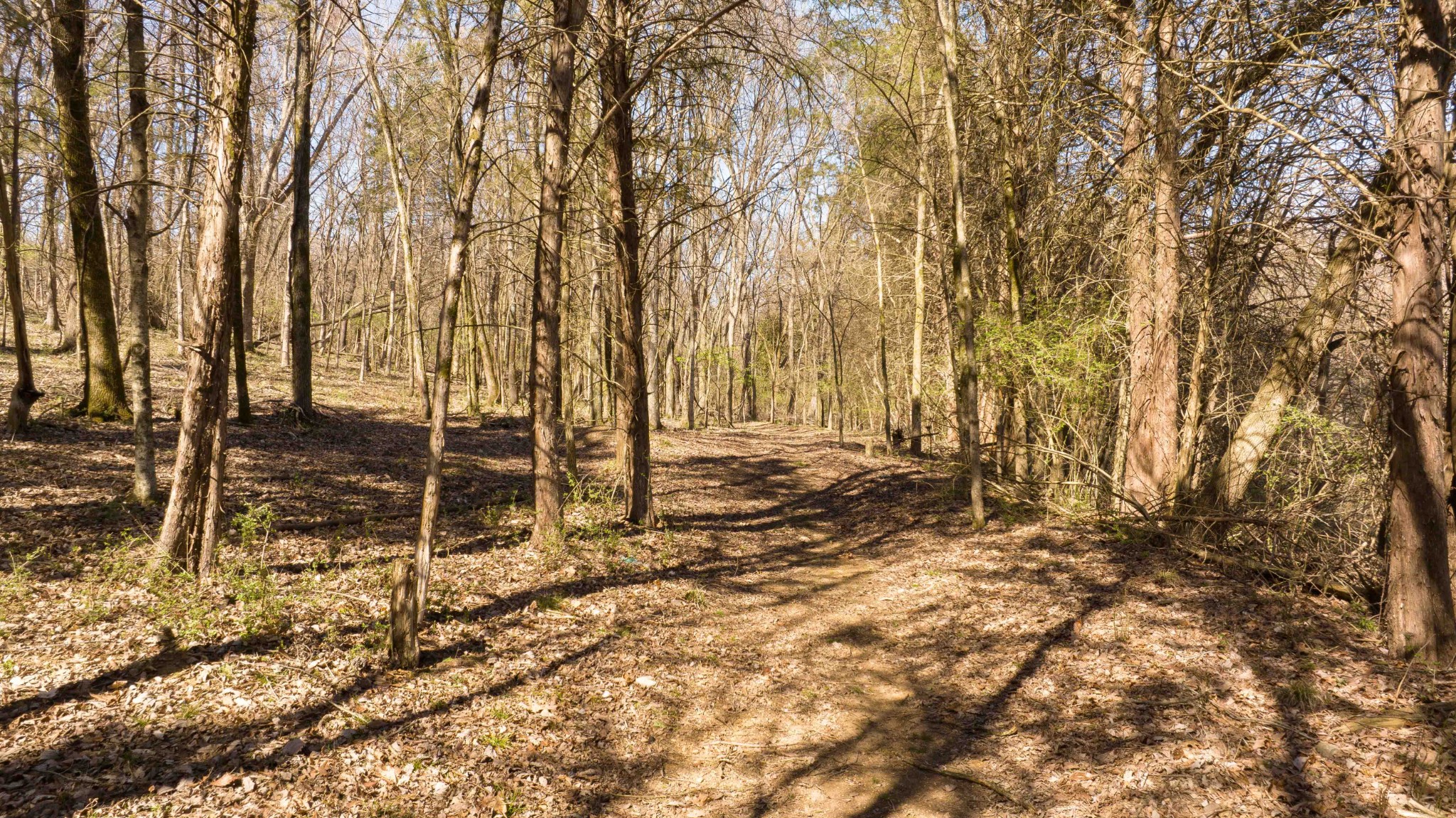 0 Hills Ln Property Photo 25