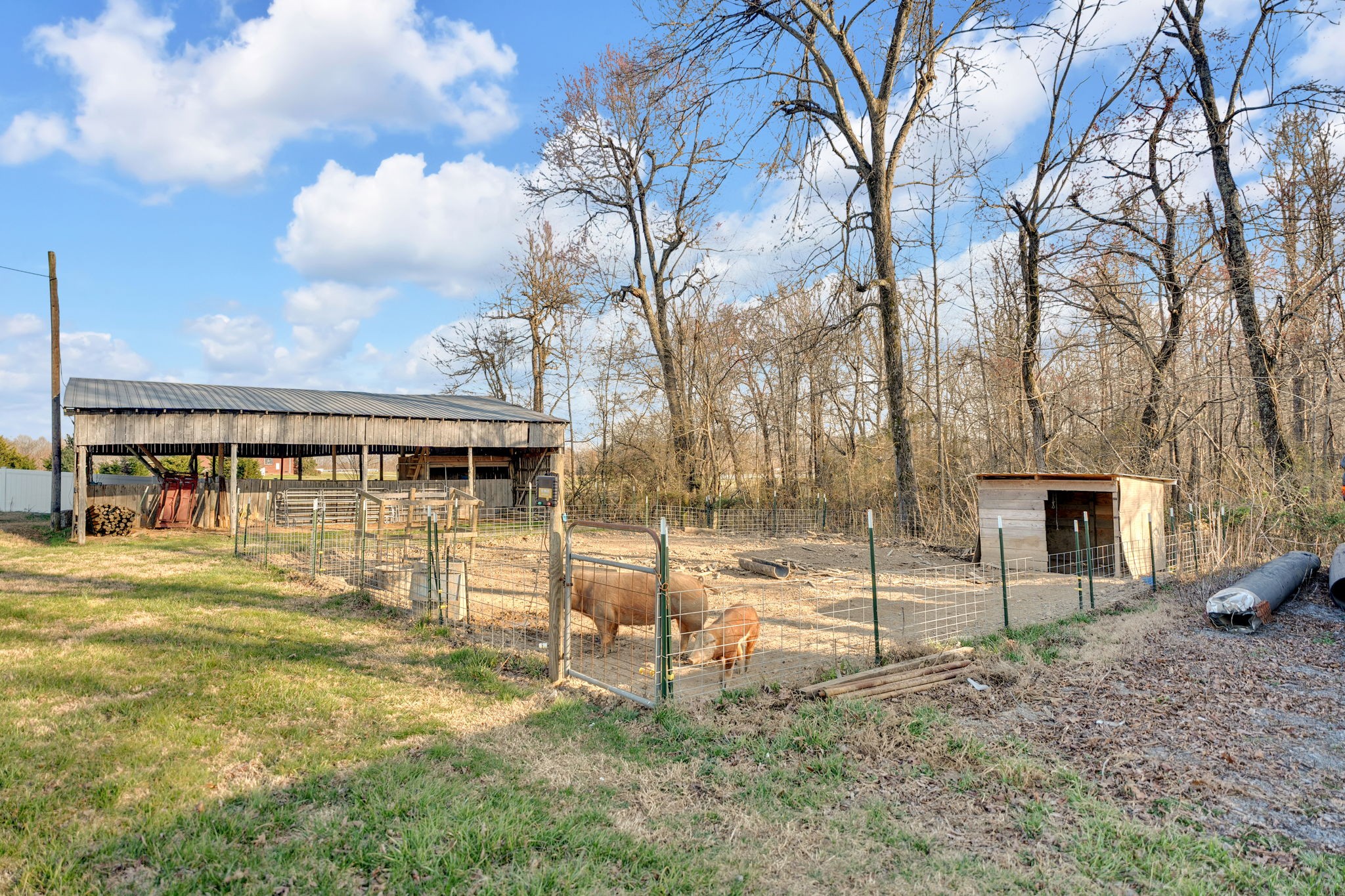 565 Powell Hollow Rd Property Photo 49