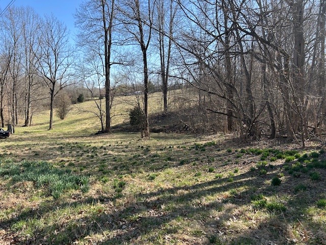 0 Freeman Loop Property Photo 2