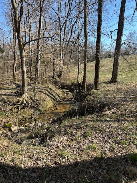 0 Freeman Loop Property Photo 4