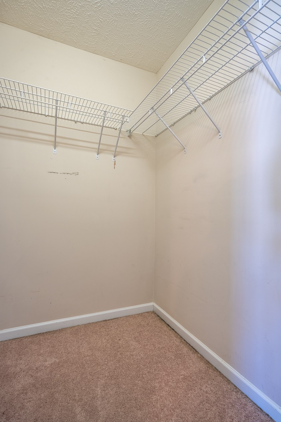 3000 Ping Ct Property Photo 21