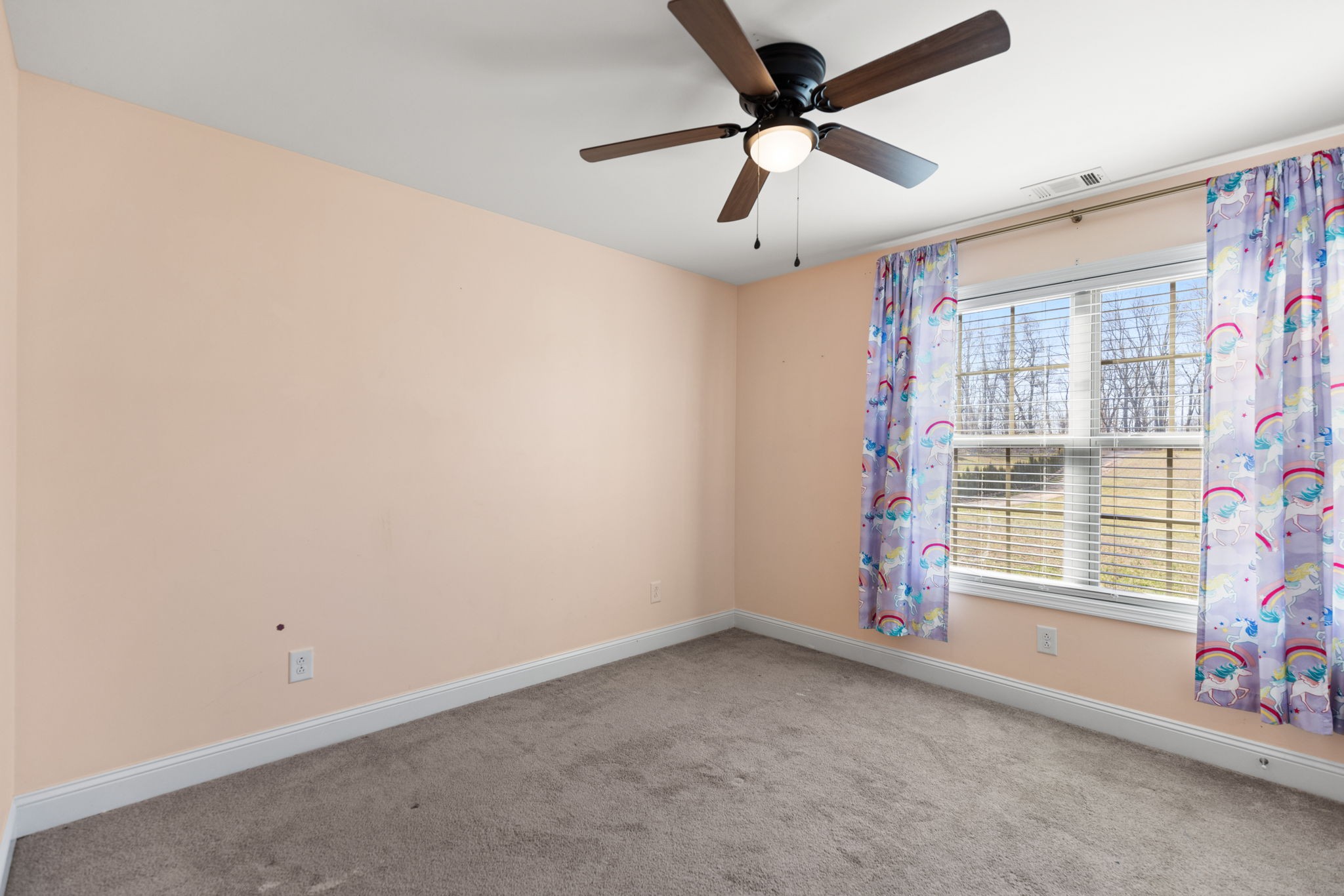 4927 Minnis Rd Property Photo 22