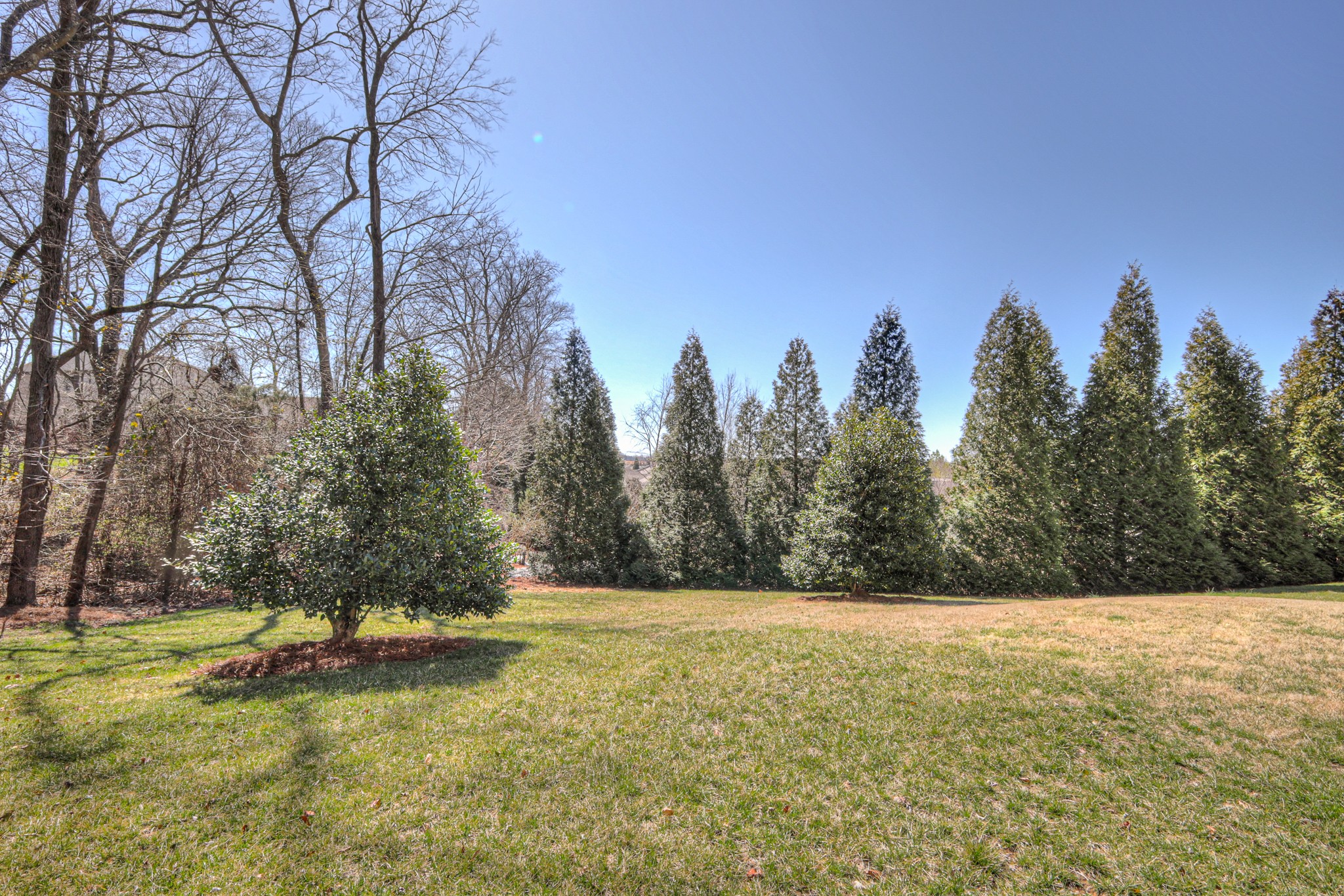 281 Antebellum Ln Property Photo 67