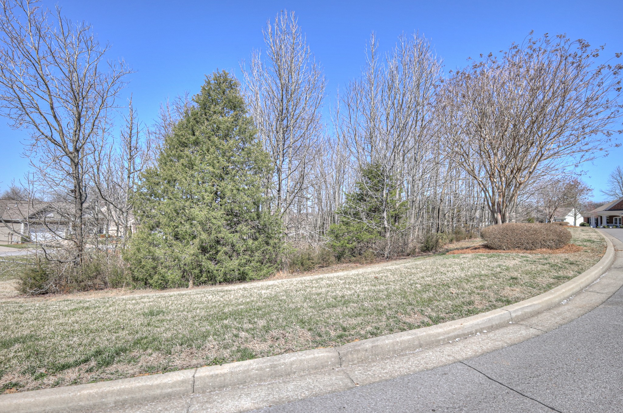 281 Antebellum Ln Property Photo 68