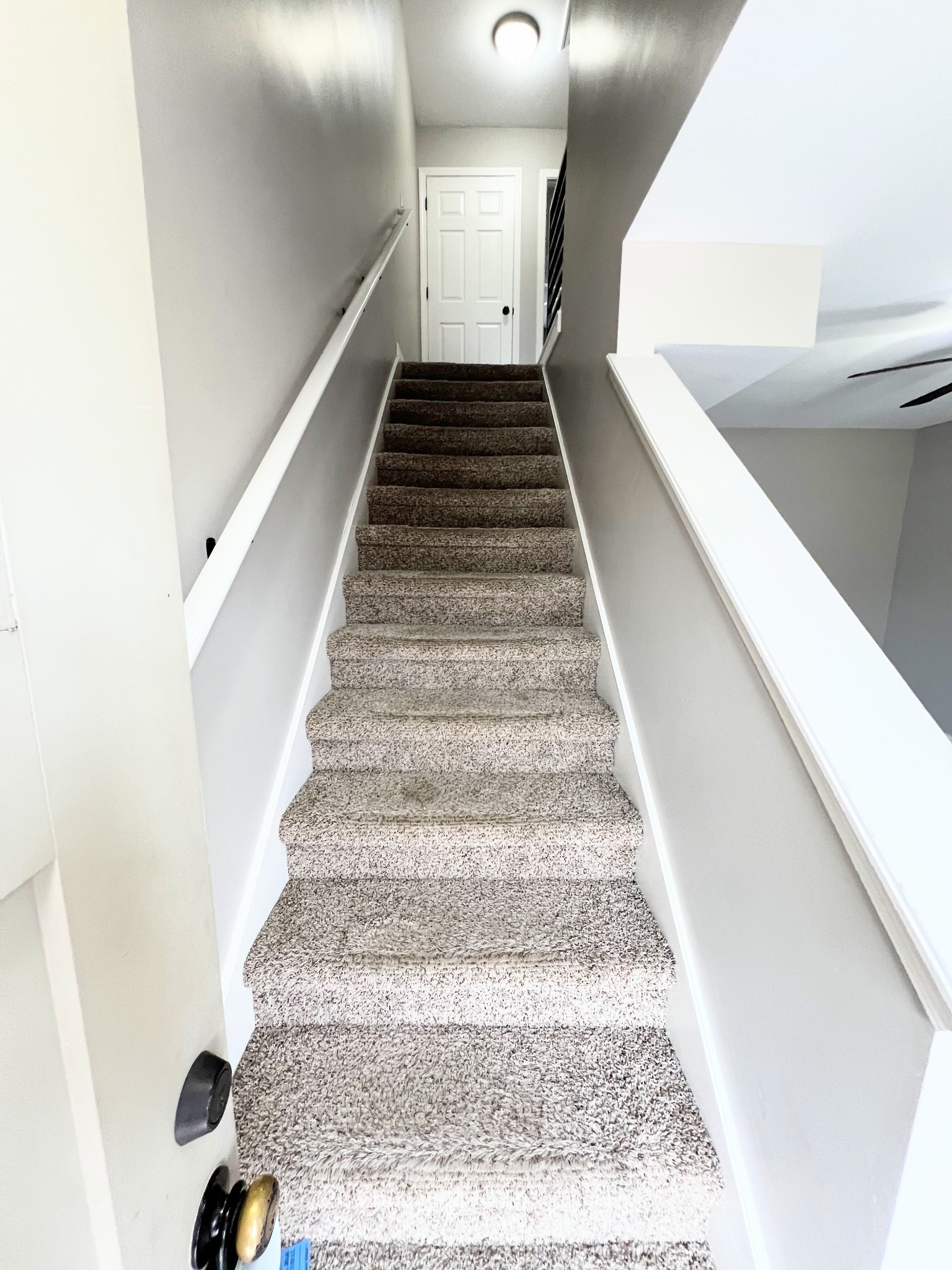 1214 Ash Ridge Dr Property Photo 8