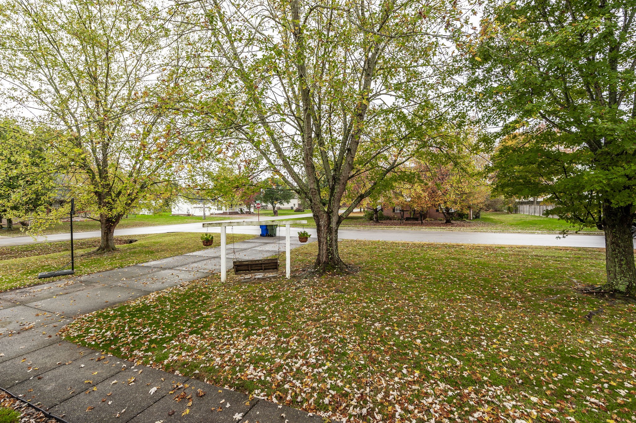 100 Honeysuckle Dr Property Photo 5