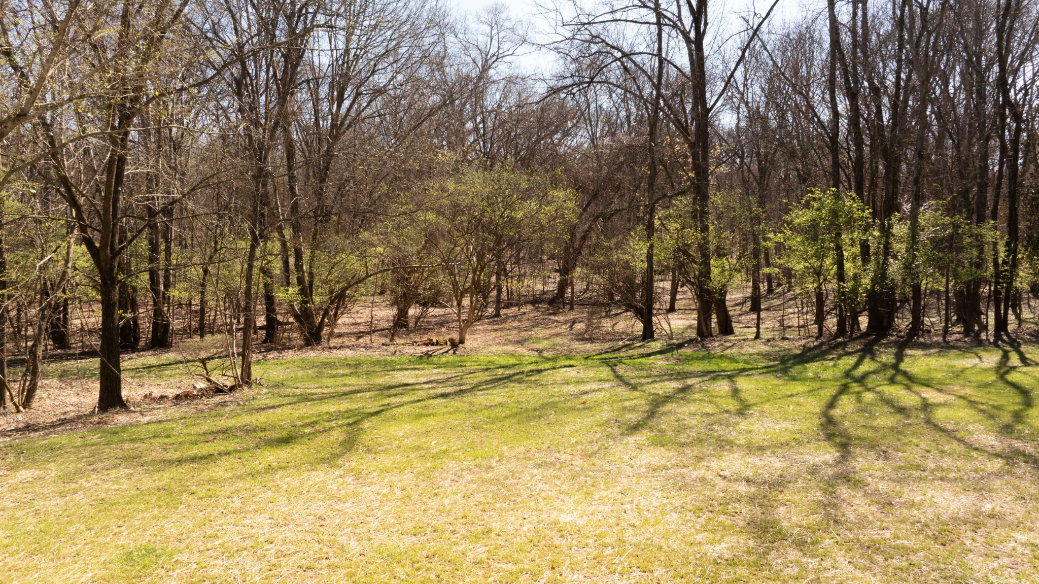 542 Cumberland Hills Dr Property Photo 25