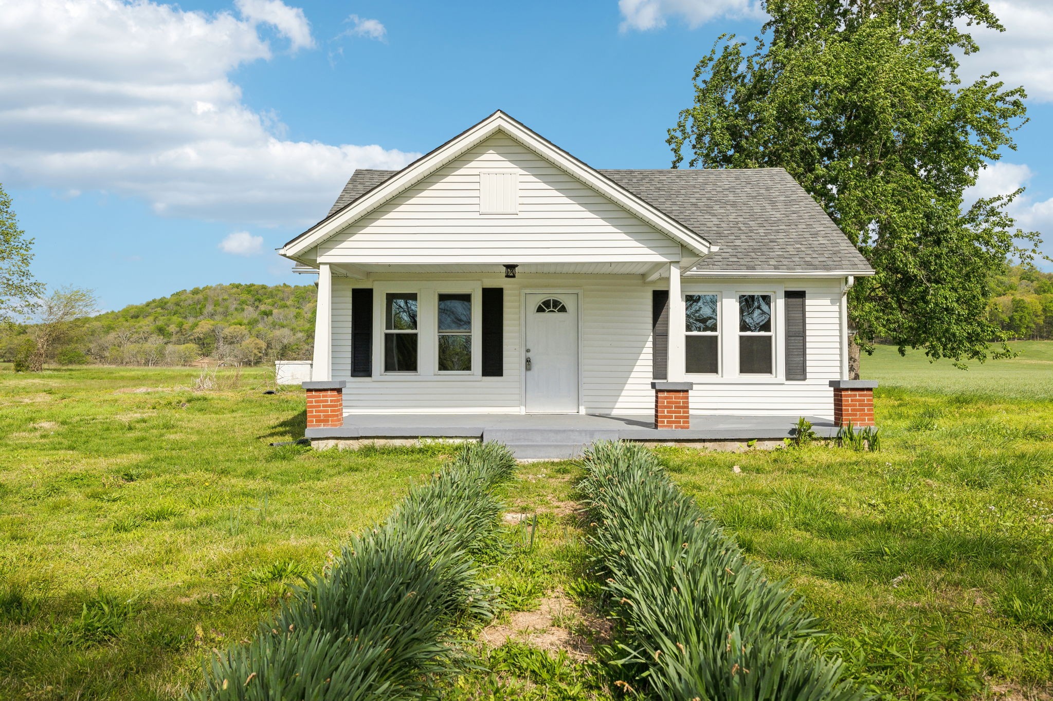 57 Young Branch Rd Property Photo