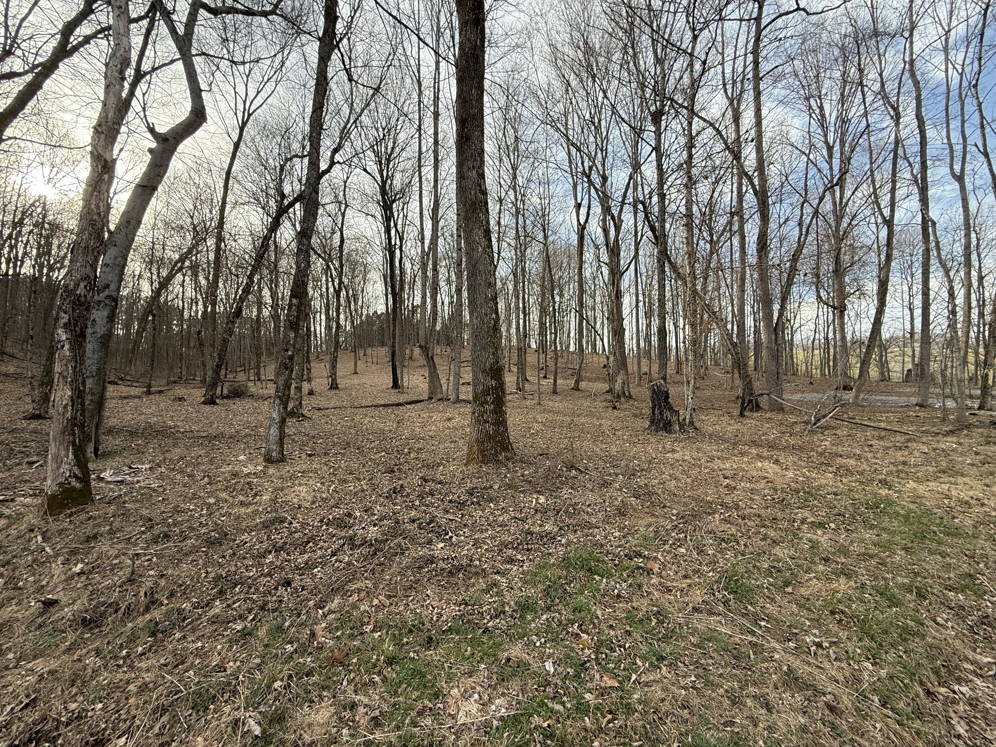 1558 Old Gallatin Rd Property Photo