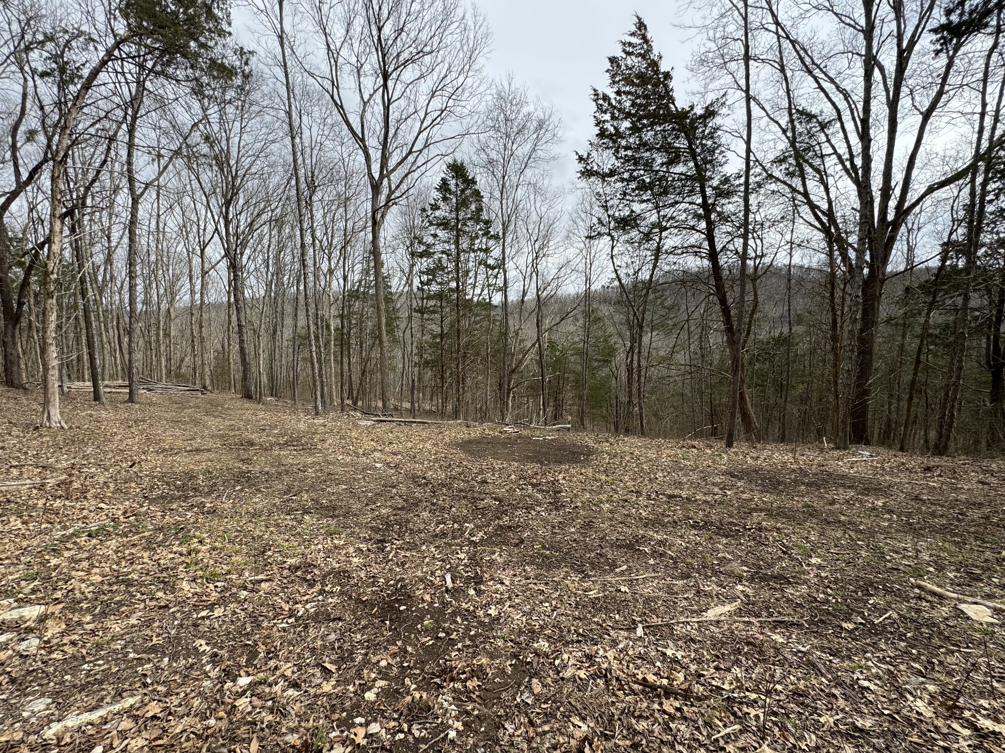 1790 Tolbert Hollow Rd Property Photo