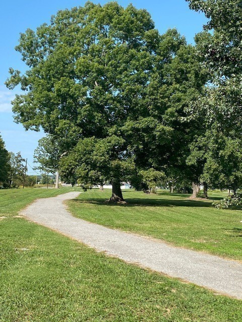4035 Roane Drive Property Photo 43
