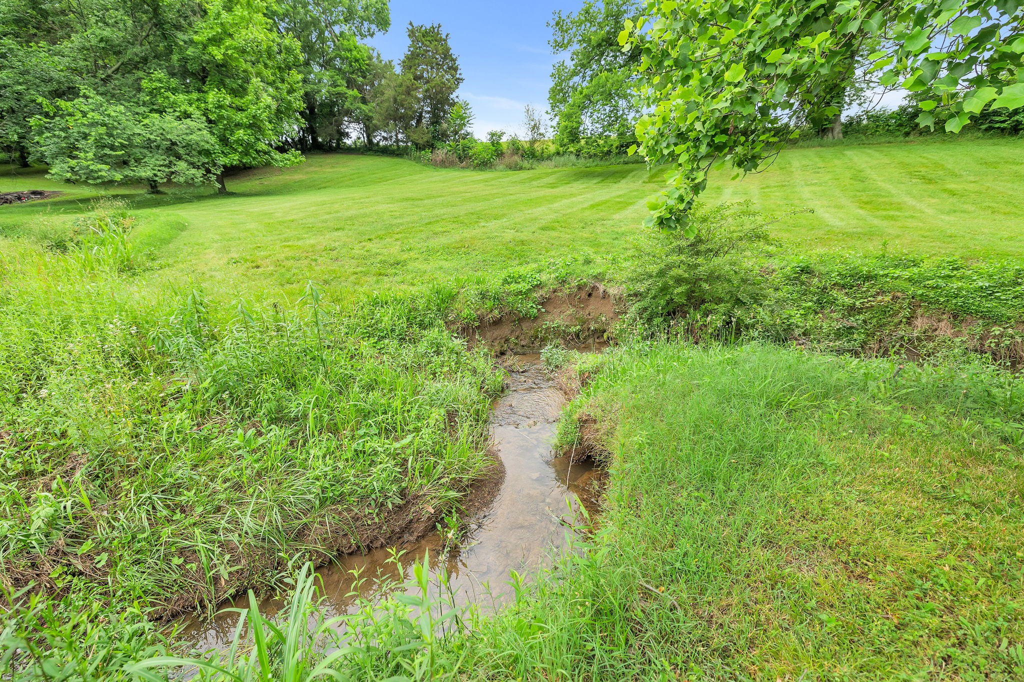 2028 Lewisburg Pike Property Photo 5