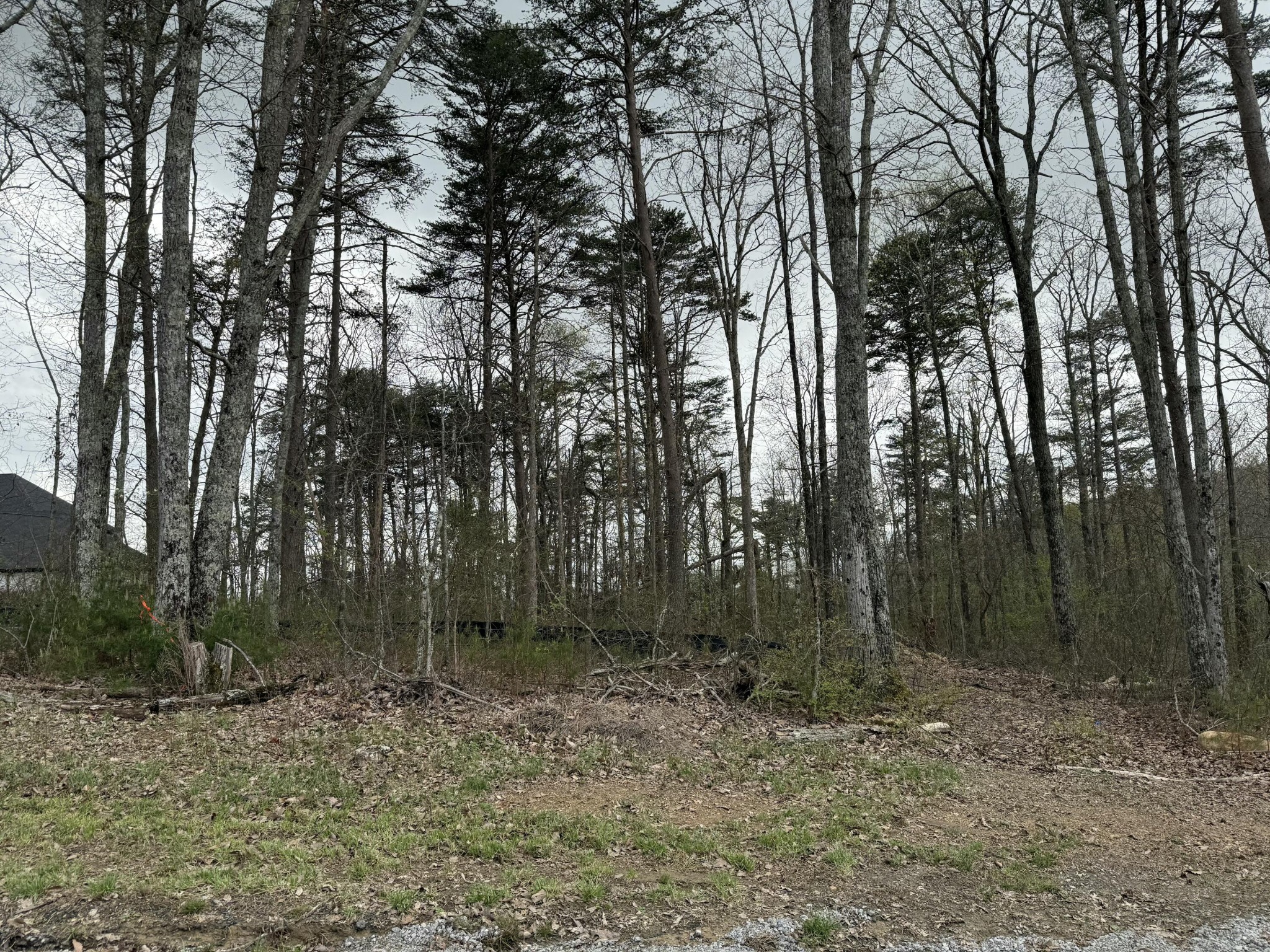 8216 Mountain Laurel Trail Property Photo