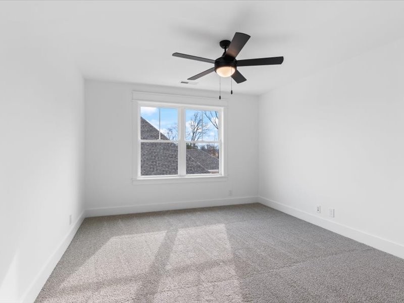 3909 Delzotto Dr Property Photo 23