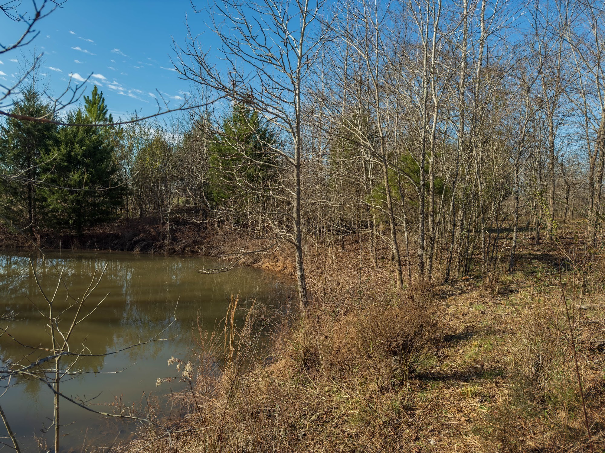 0 Highway 49 Property Photo