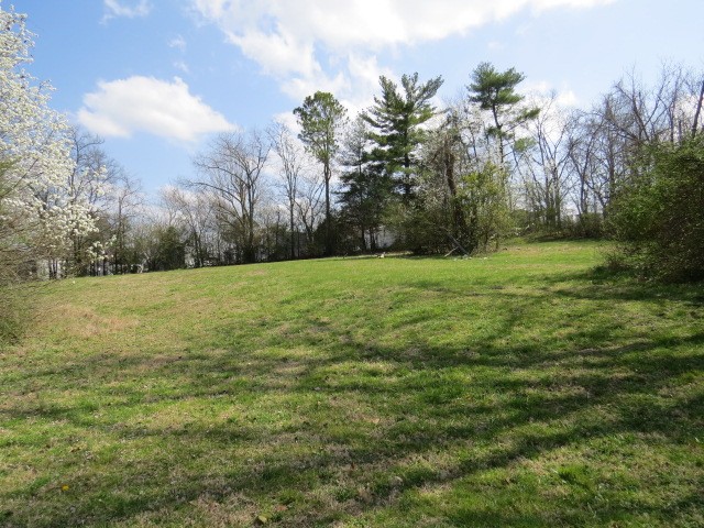 1401 Mill St Property Photo