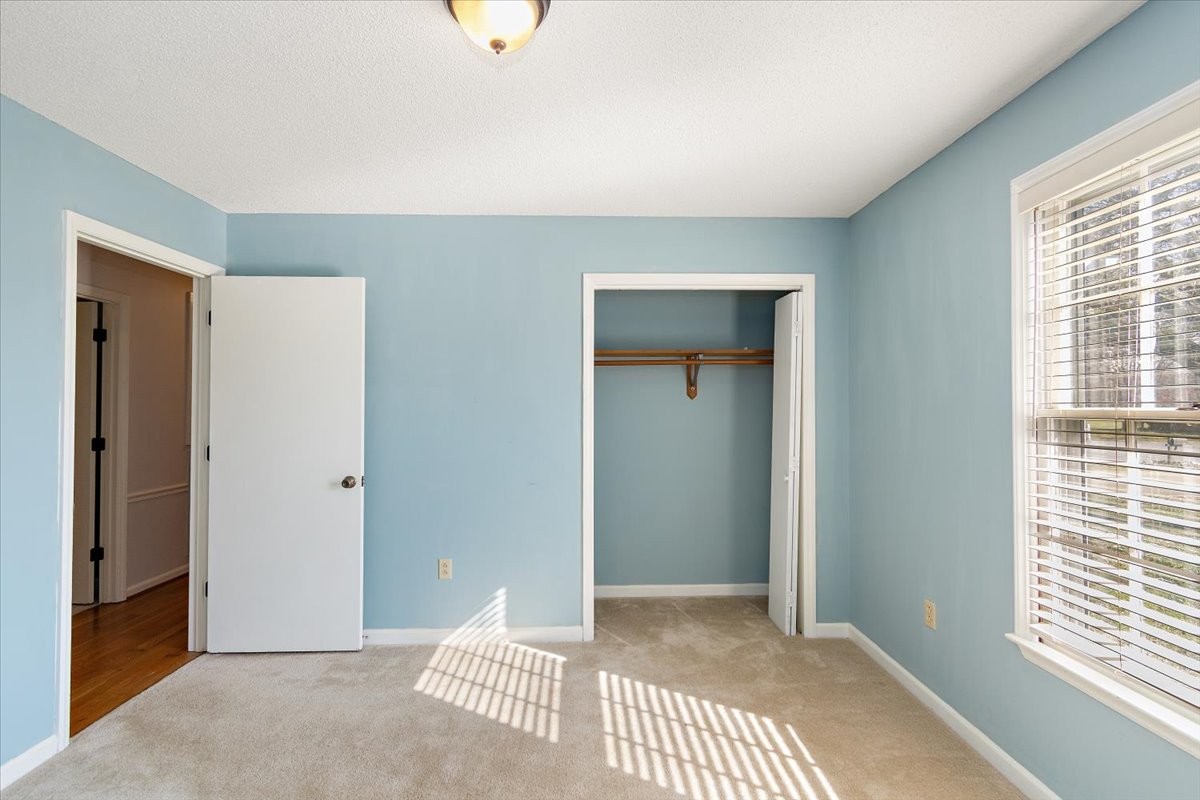 3950 Country Park Ln Property Photo 25