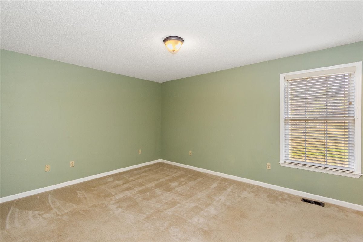 3950 Country Park Ln Property Photo 26