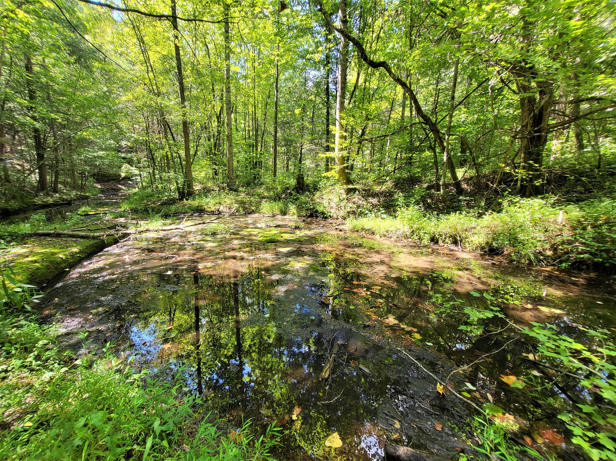 6704 Rockhouse Rd Property Photo 2