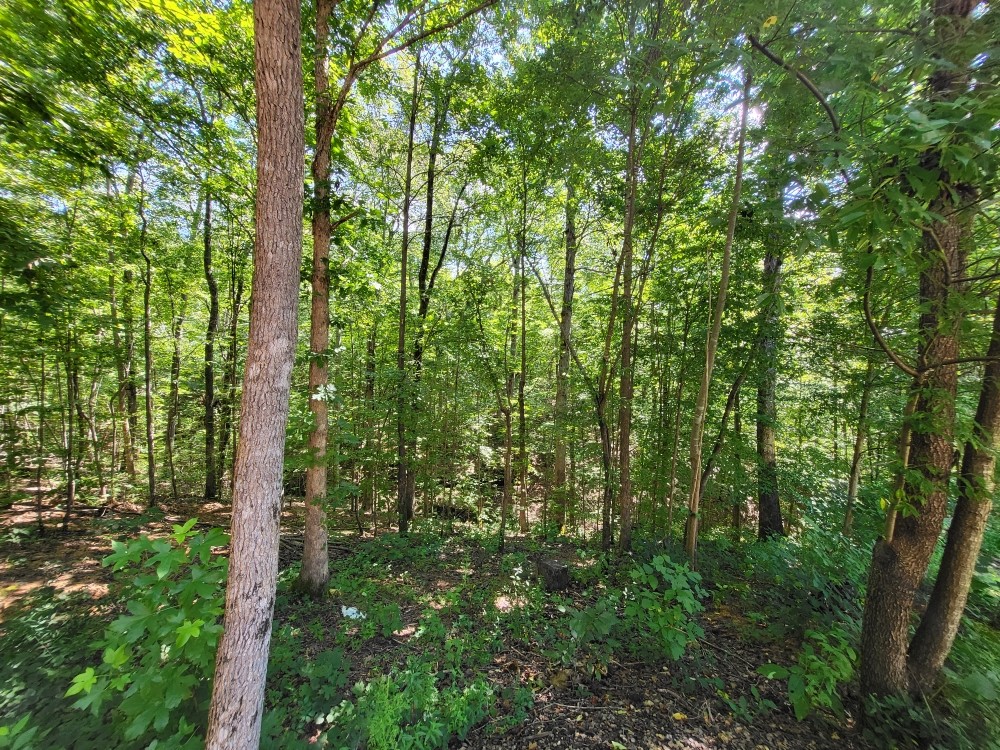 6704 Rockhouse Rd Property Photo 3