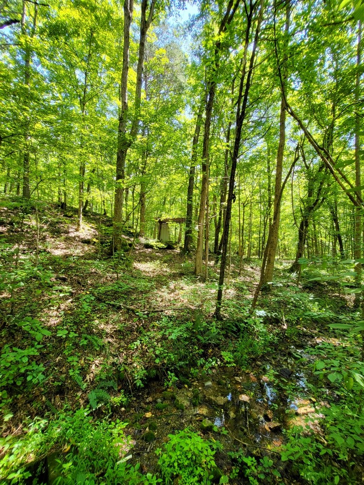 6704 Rockhouse Rd Property Photo 5