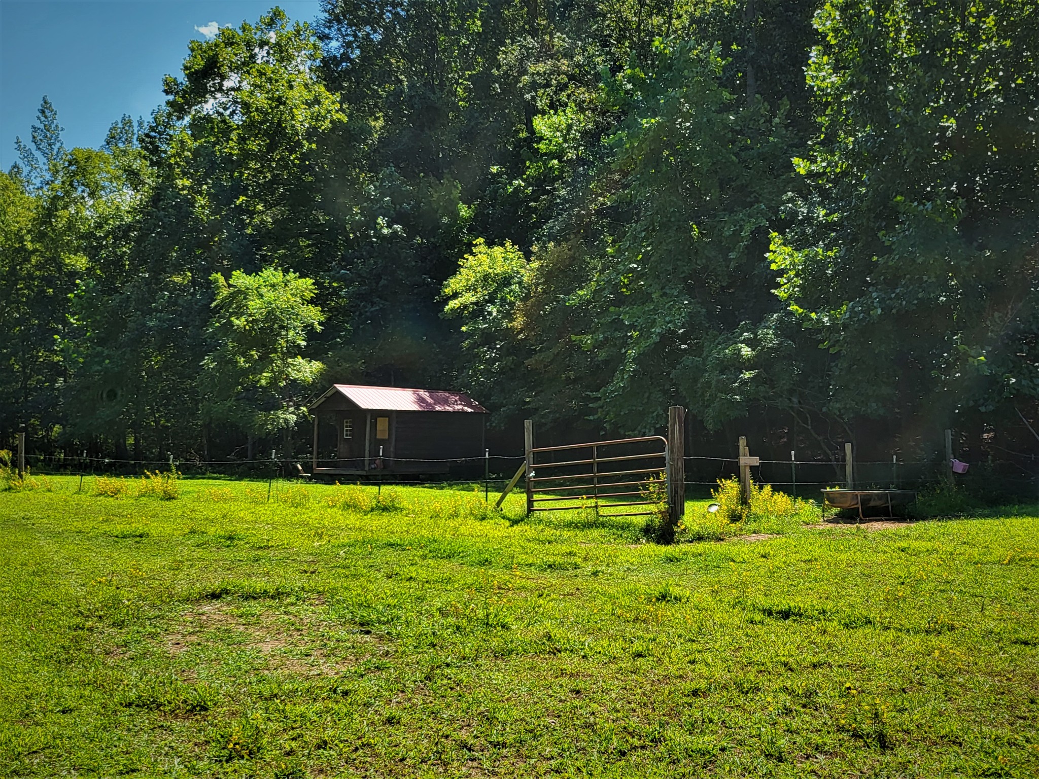 6704 Rockhouse Rd Property Photo 11