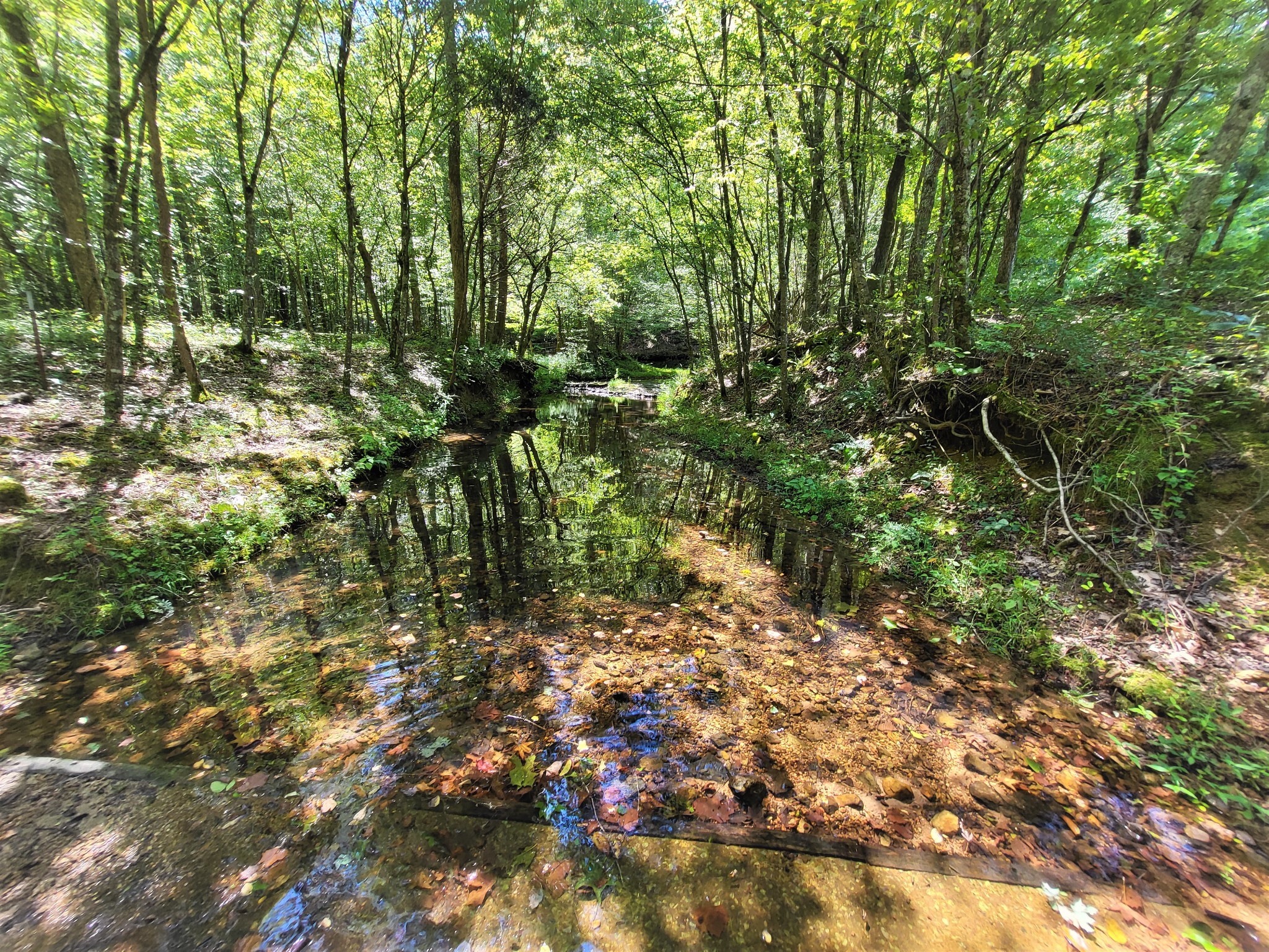 6704 Rockhouse Rd Property Photo 14