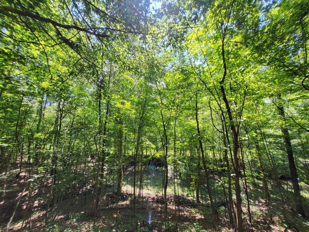 6704 Rockhouse Rd Property Photo 15